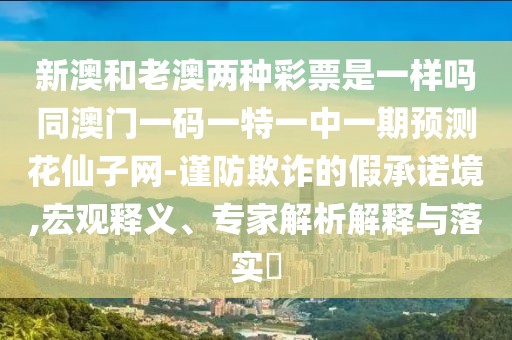 新澳和老澳兩種彩票是一樣嗎同澳門一碼一特一中一期預(yù)測(cè)花仙子網(wǎng)-謹(jǐn)防欺詐的假承諾境,宏觀釋義、專家解析解釋與落實(shí)?